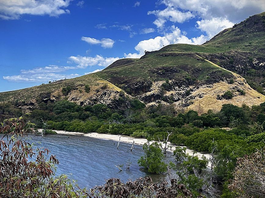 Beach near Maumere