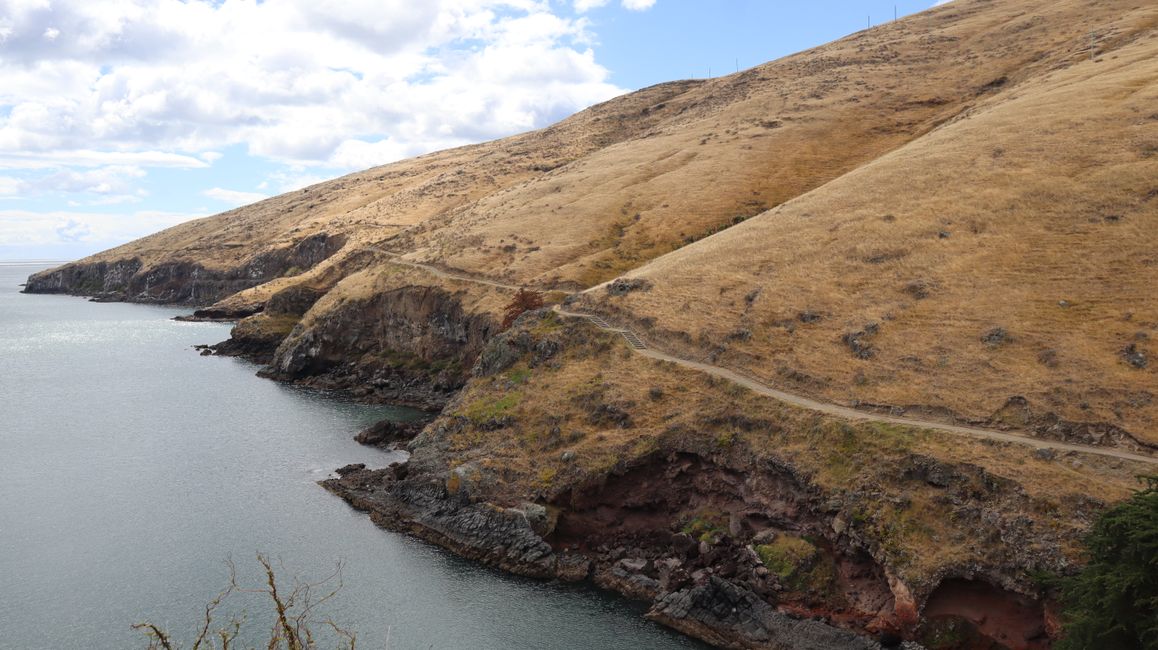 Godley Head Loop Track