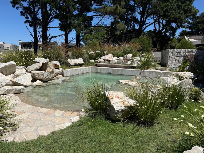 Der Pool. Der letzte Teil.