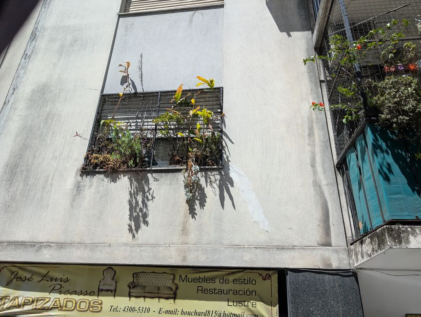 Verdure essiccate sul balcone