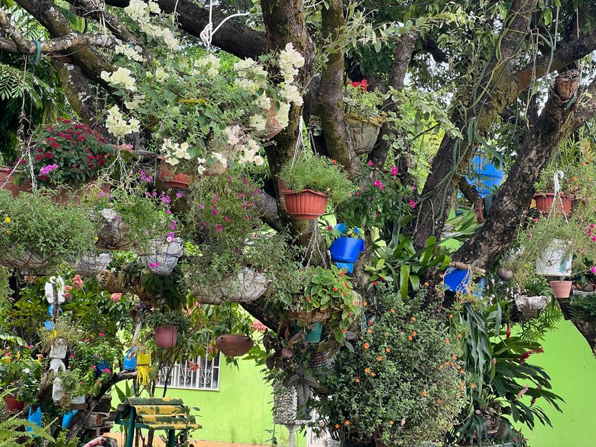 A small park 