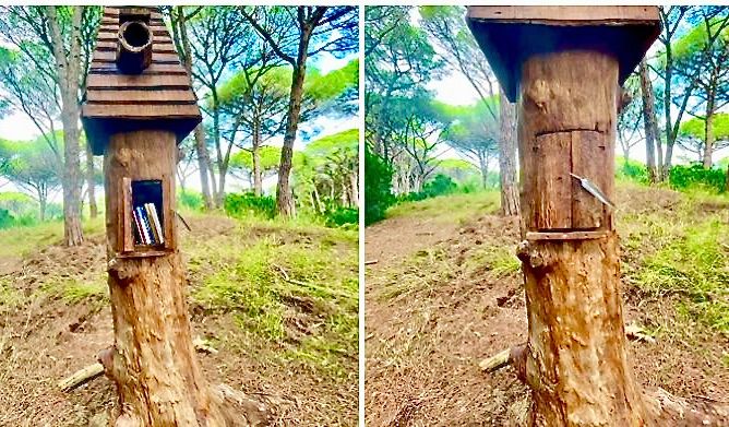 Für Icke die Entdeckung des Tages: ein Bücherschrank mitten im Wald.
