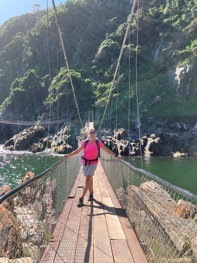 Tsitsikamma canopy trails on flying fox and Storm Rivier suspension bridges plus 1/3 of the waterfall day hike