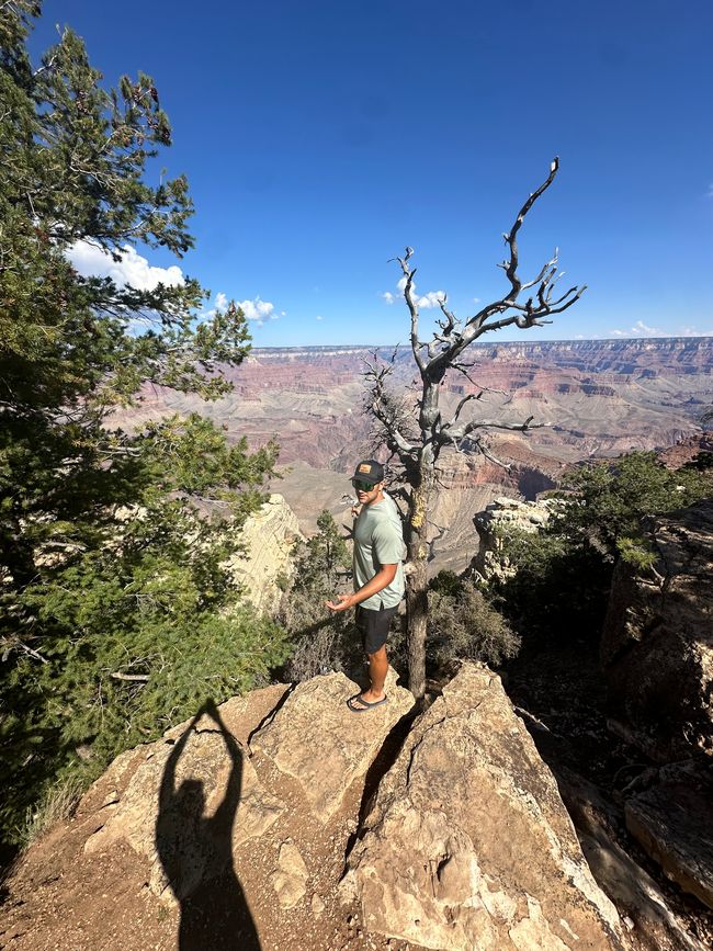 Lake Powell/ Horse Shoe/ Grand Canyon