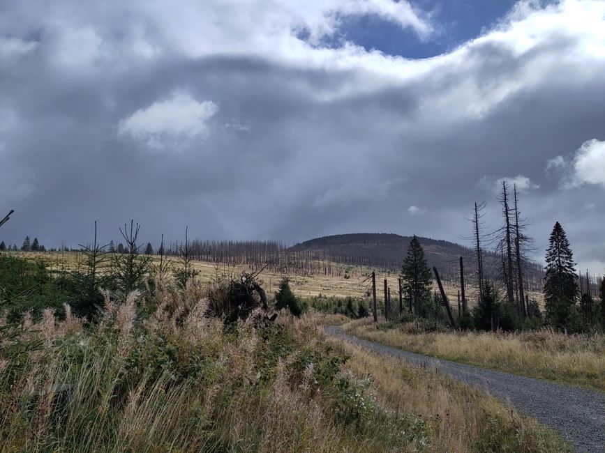 Nationalpark Harz