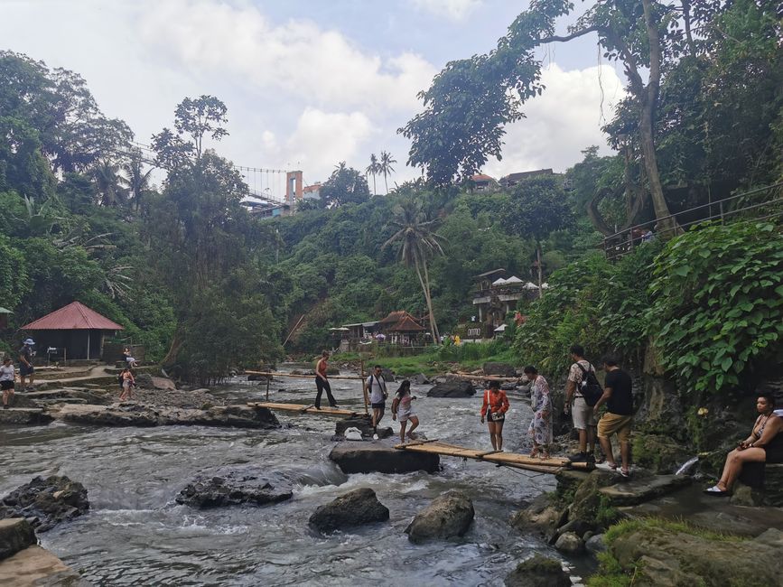 Excursión de un día a Ubud y Tegallalang