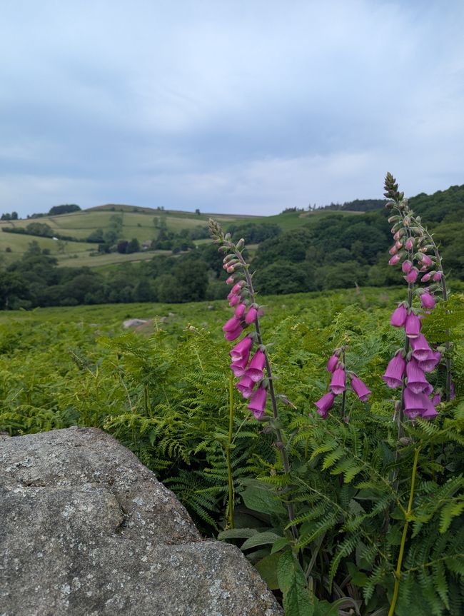 Wandern im Peak Distrikt