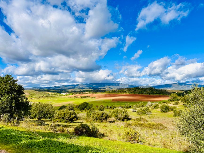 Golfen im Álamos Golf – Natur, Herausforderung und Entspannung