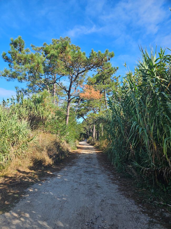 Stage 3: Aguçadoura - Marinhas