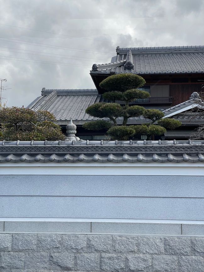 奈良-京都-星期五-04.04.25