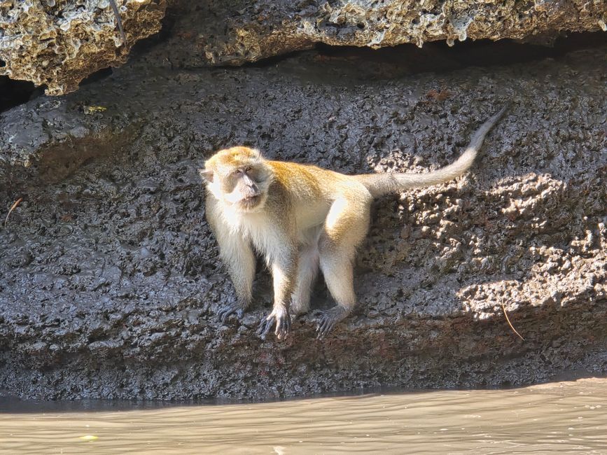 Langkawi - Reif für die Insel!