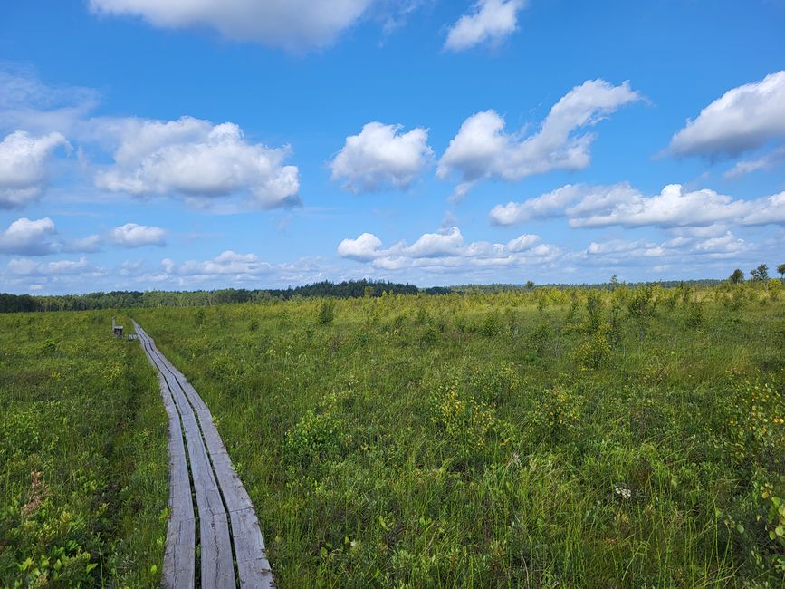 Moor Store Mosse Nationalpark