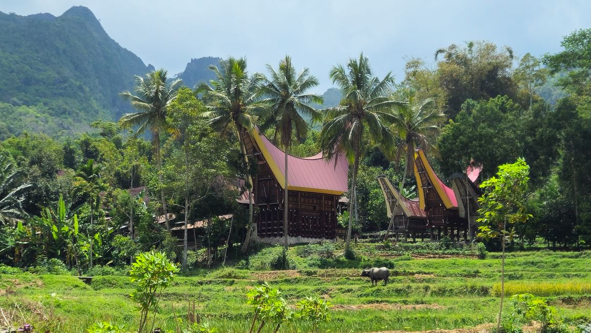 Tana Toraja