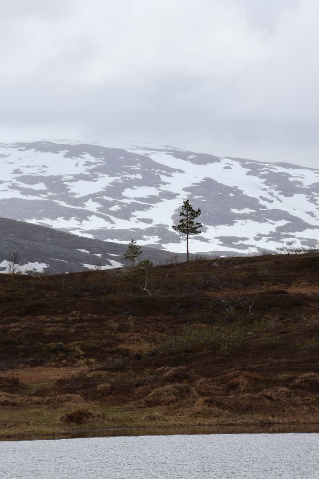 Südnorwegen hat mich in seinen Bann gezogen