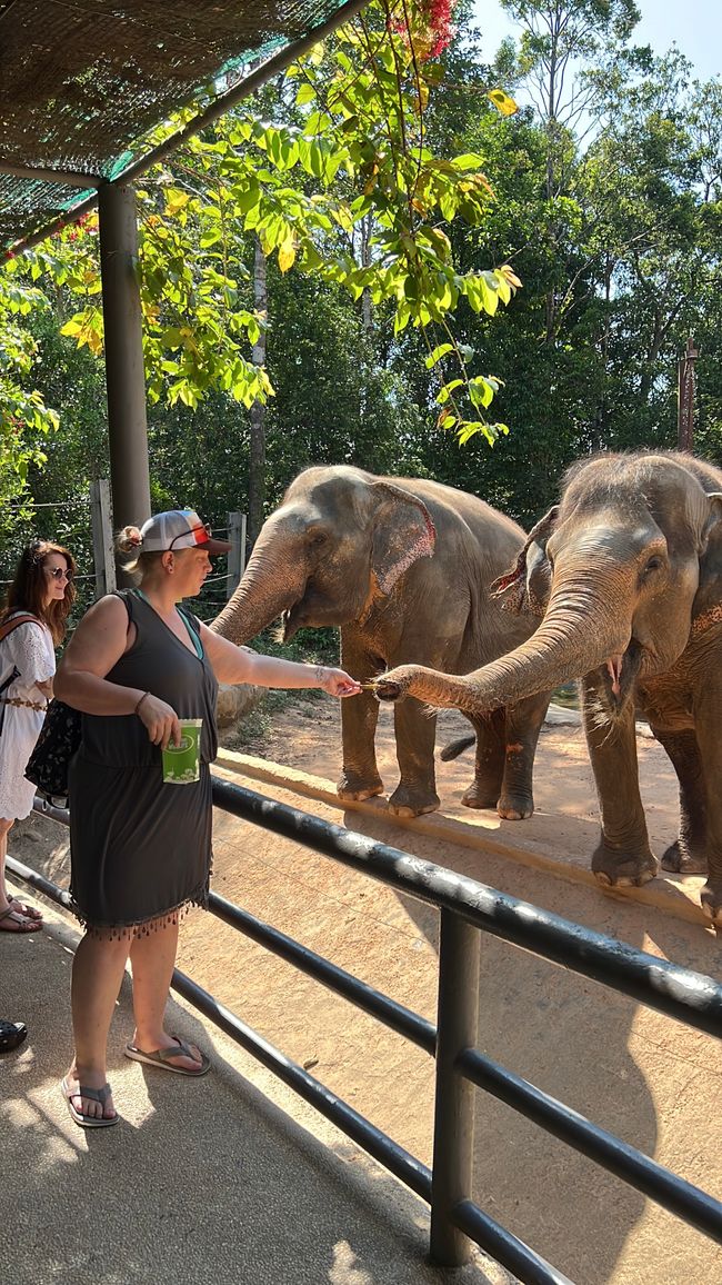 Tag 16 - Phu Quoc: Tierische Higloghts und glitzerndes Einhorn