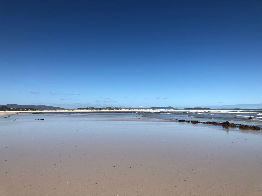Am Strand von Franskraal Muscheln sammeln
