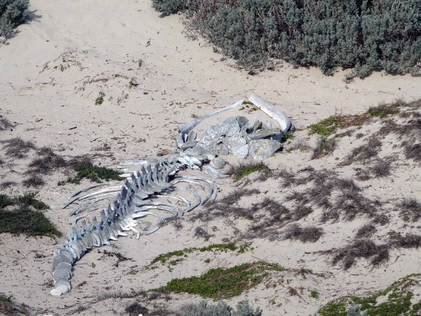 Kangaroo Island