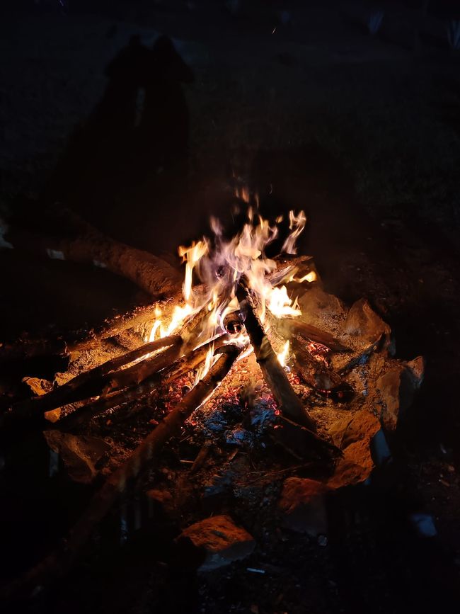 Tansania - Tag 6: Serengeti Nationalpark