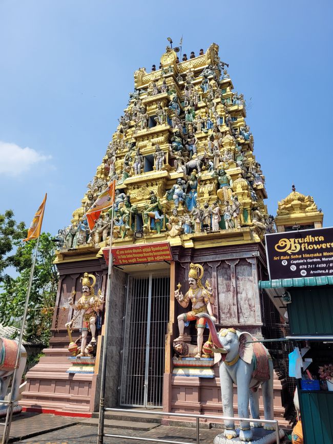 Tag 124 und 125 von 175: Kreuzfahrt rund um die Welt - Colombo/Sri Lanka und Seetag