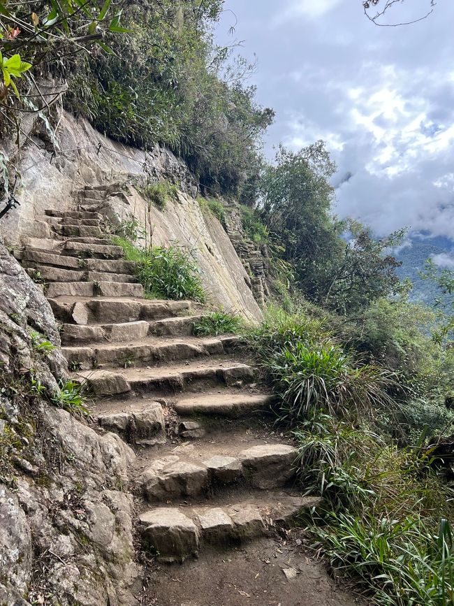 👷‍♂️标签 31-1 (3.11.) 马丘比丘，登上惠纳比丘山