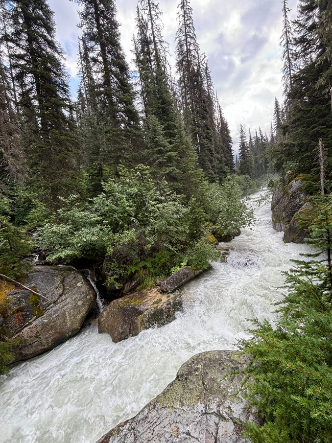 Tag 7 - Glacier Nationalpark