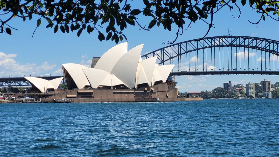 Heute königliches Programm – Royal Botanical Garden in Sydney
