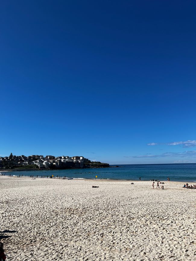 Bondi Beach
