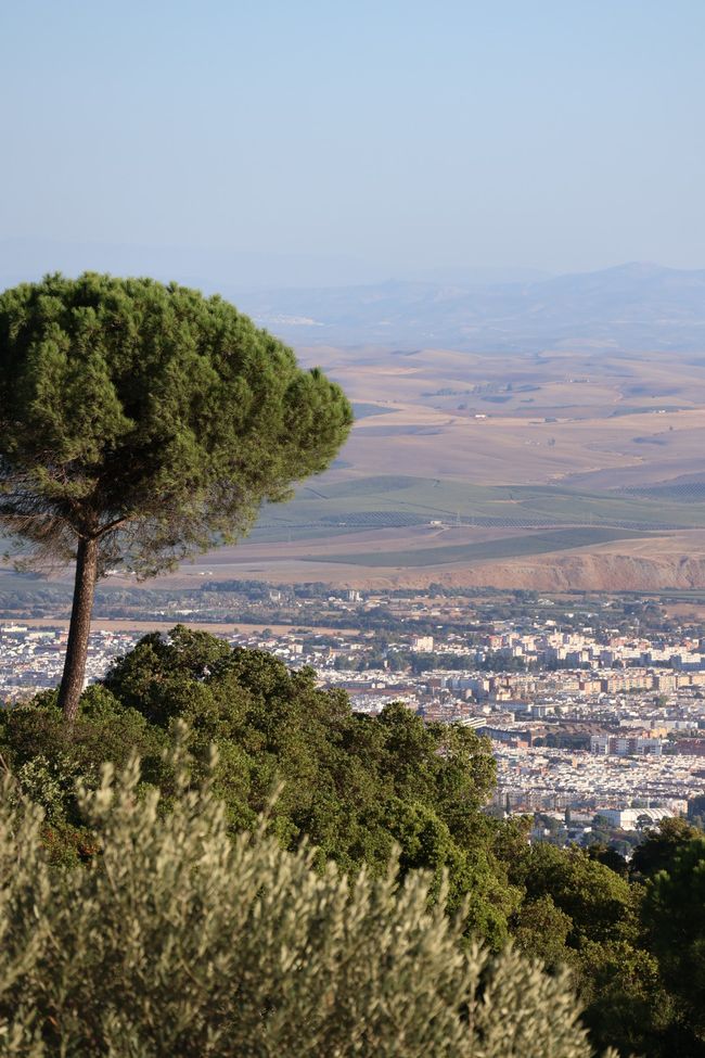 In der Schweiz versumpft, auf nach Portugal