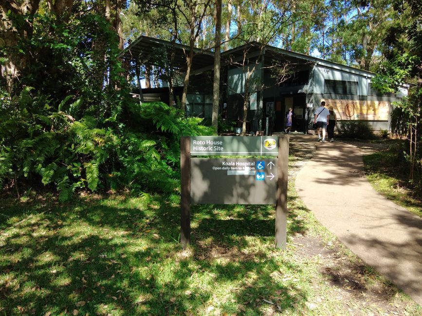 Port Macquarie Lighthouse/ Koala Hospital