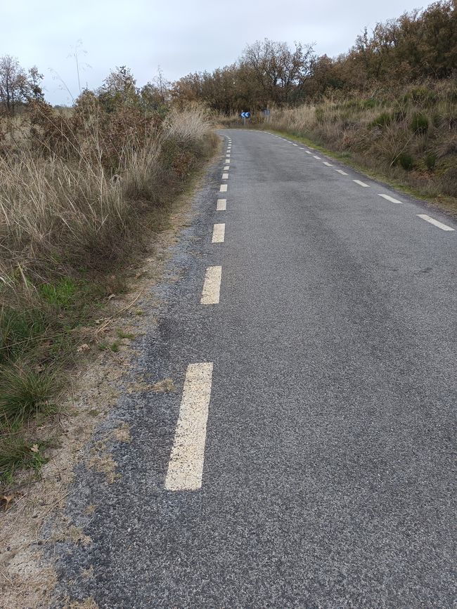 Y otra vez un poco al lado de la carretera 