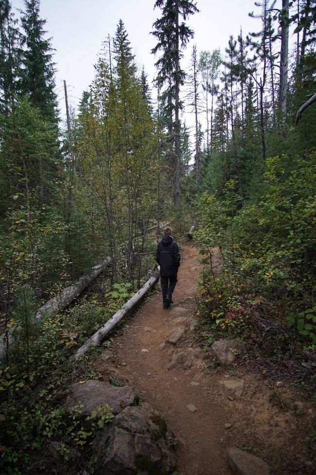 Tag 12: Die Vau Des wandern
