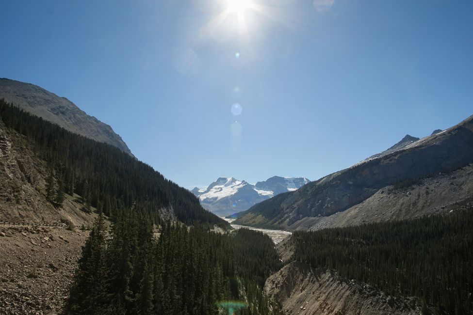 Tag 8 : Poursuite du voyage vers Jasper