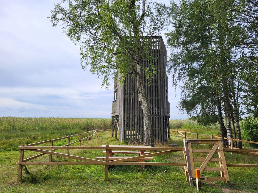 Beobachtungsturm Naturschutzgebiet am See Tåkern