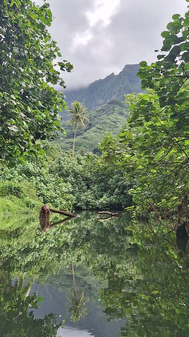 Flussfahrt in Raiatea // river trip in Raiatea