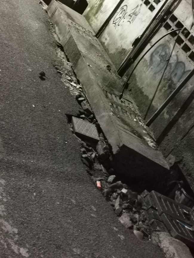 ... ici Google Maps voulait me faire passer par là ... j'ai donc pris le prochain tournant ... Oui, ce sont des tonnes de rats ...