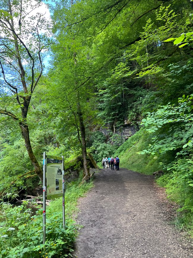 28 Wutachschlucht Pro Wolermoos