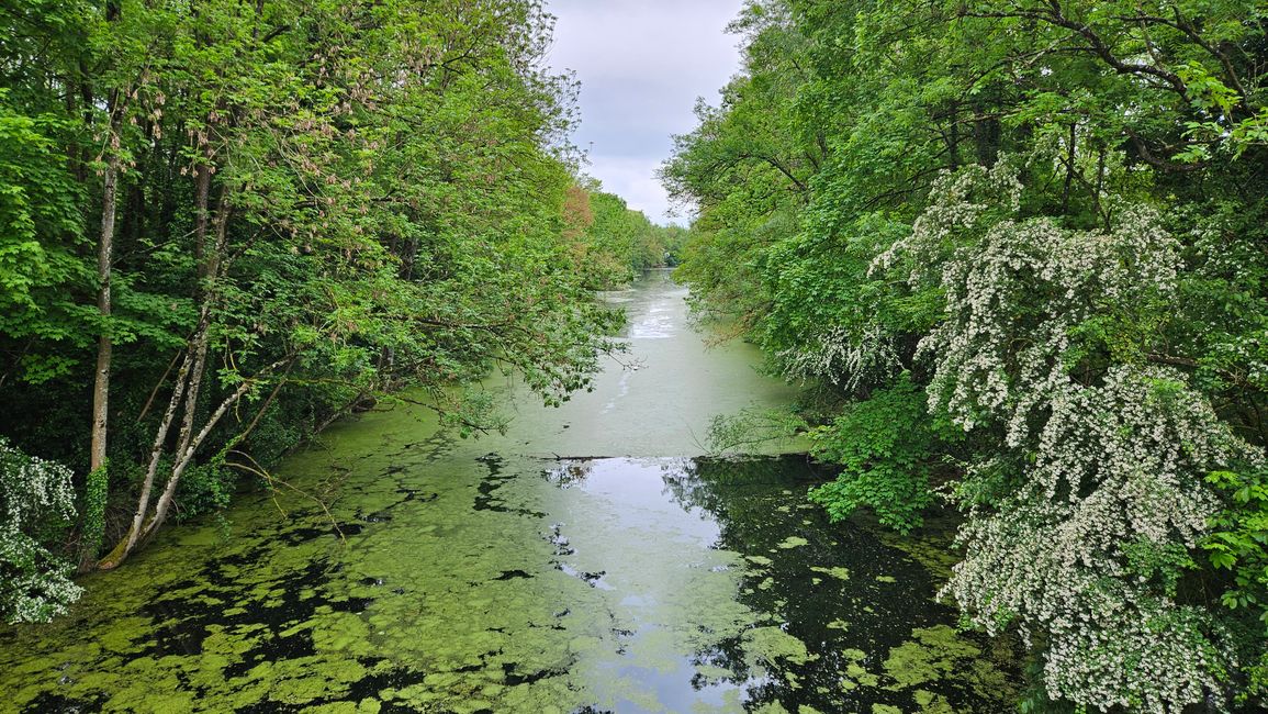 Alter Kanal entlang der Mosel