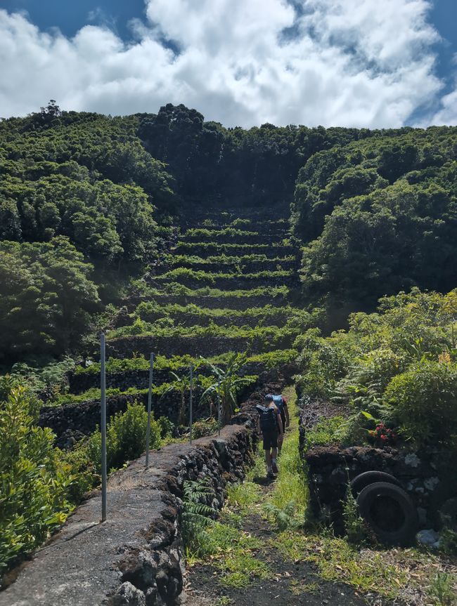 Relajación