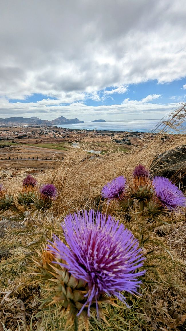 Tag 3: Porto Santo - Geheime Höhlen & bizzare Felsen am Meer