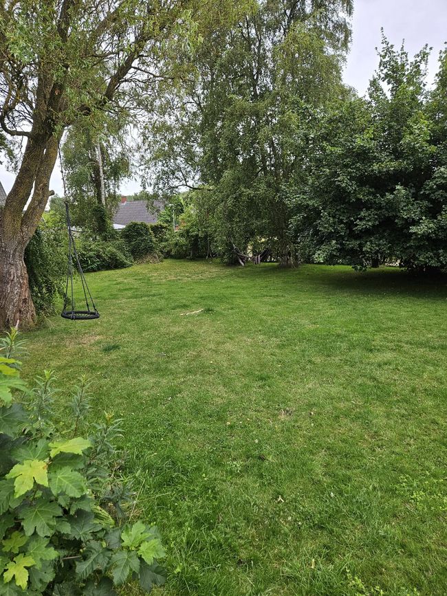 Our garden