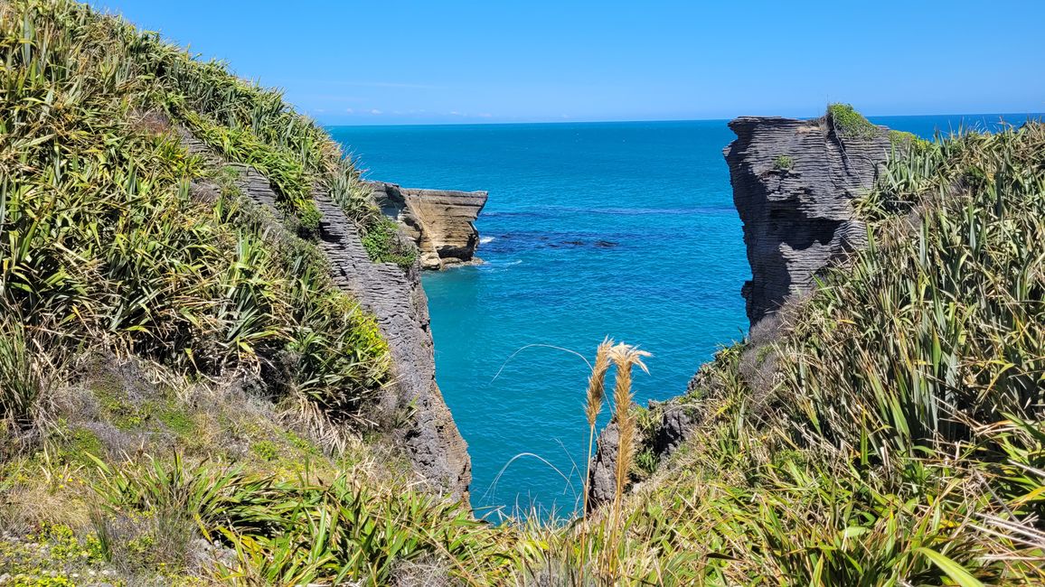 29.Januar-27.Februar 2025 Neuseeland
15.Januar