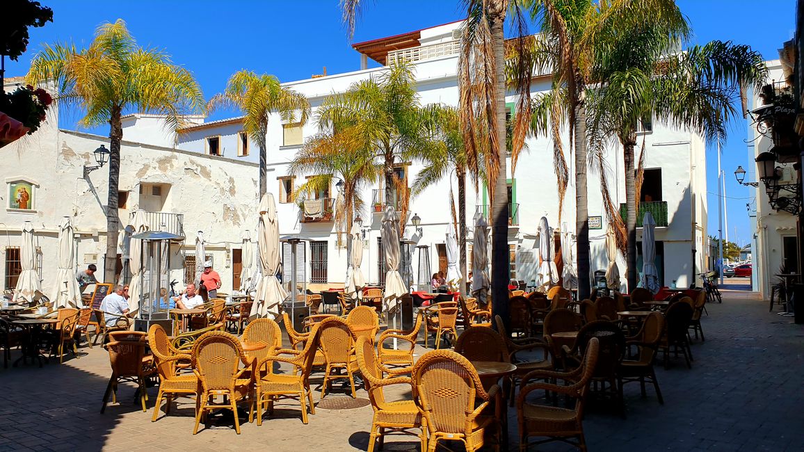 Alicante?...no grazie 609