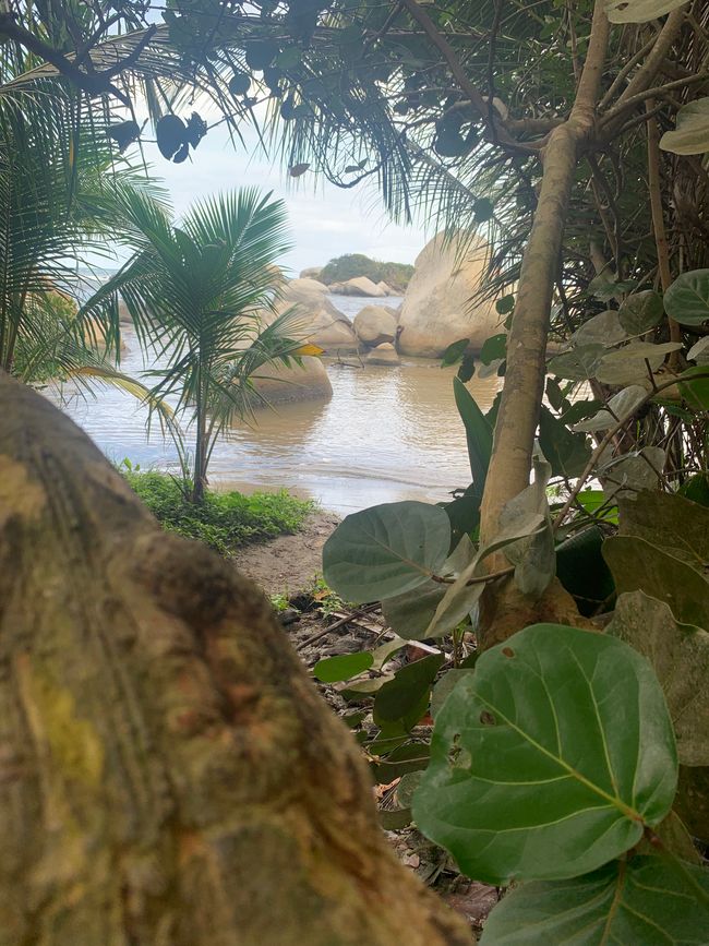 Tag 13: Parco Tayrona f7f9