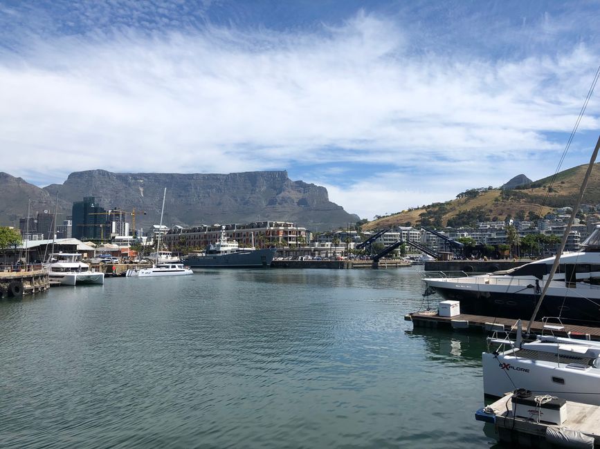 #2 - Cape Town - Waterfront - Boat Tour - Dolphins