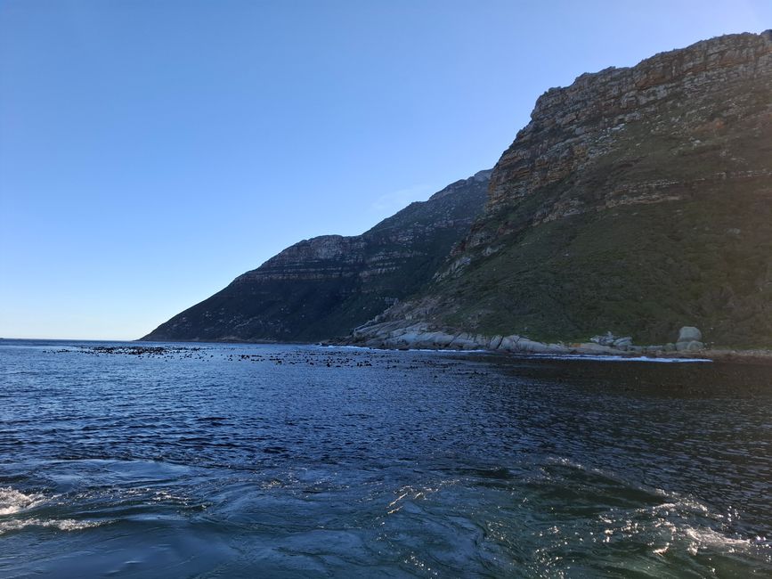 Cabo de Buena Esperanza + Playa de Boulders