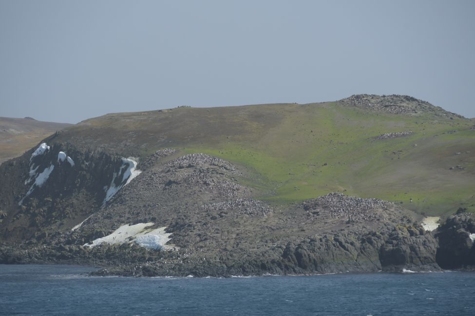 Barrientos Island