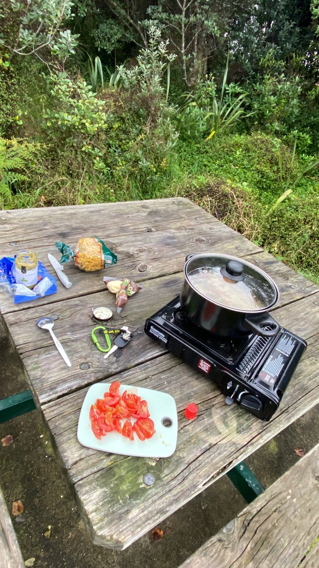 Coromandel loop