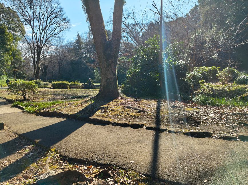 Impressionen aus dem Serigaya Park #3