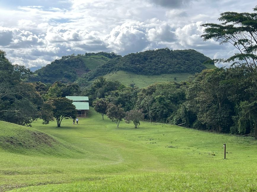 Tag 7 (14.10.): 
4. "Parque Arqueológico
Alto de los Ídolos"