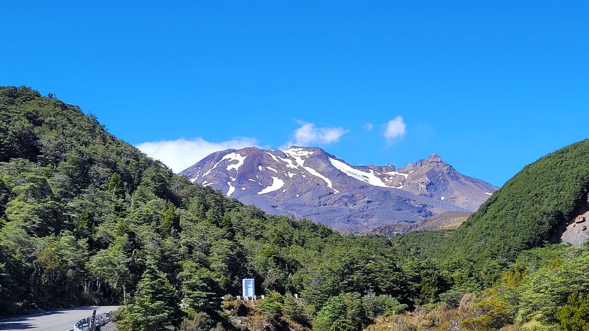 29.Januar-27.Februar 2025 Neuseeland
18.Februar